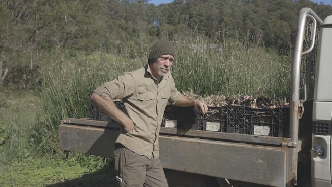 Farmer Aidan Quick with a sample of ginger produce. Picture: Supplied