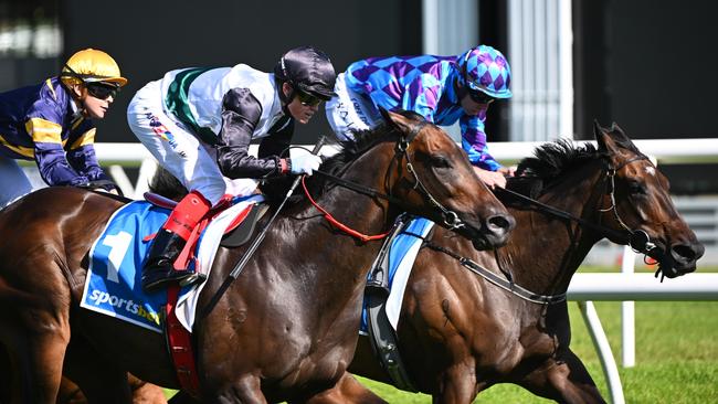 Craig Williams and Mr Brightside snatch victory from Pride of Jenni in the Group 1 Orr Stakes last autumn. Picture: Vince Caligiuri/Getty Images