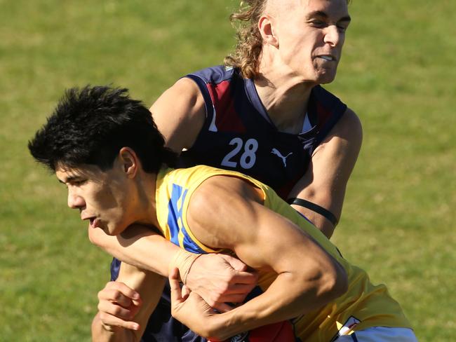 NAB League footy: Sandringham Dragons v Western Jets.32 Paul Curtis with the ball for the Western Jets.Picture: Stuart Milligan