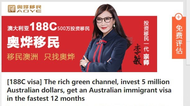 Online ads from immigration specialist AOYE. The Australian is not suggesting any improper conduct by the company.