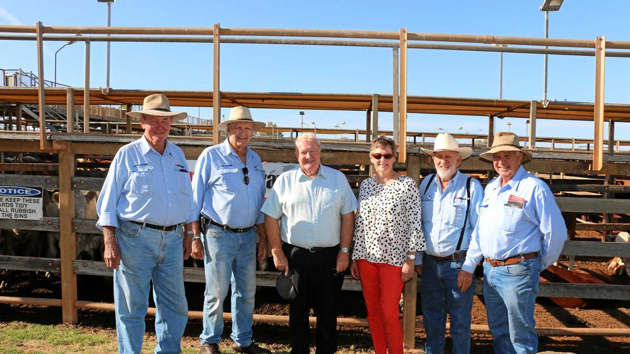 PRIME TOUR: Saleyards guides James Stinson, Peter Nichol and Lloyd Harth with Cr Peter Flynn and Cr Puddy Chandler. Picture: Annabelle Murphy