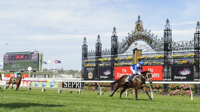 Chris Waller has no doubt Winx could have won a Melbourne Cup. Picture: Getty Images