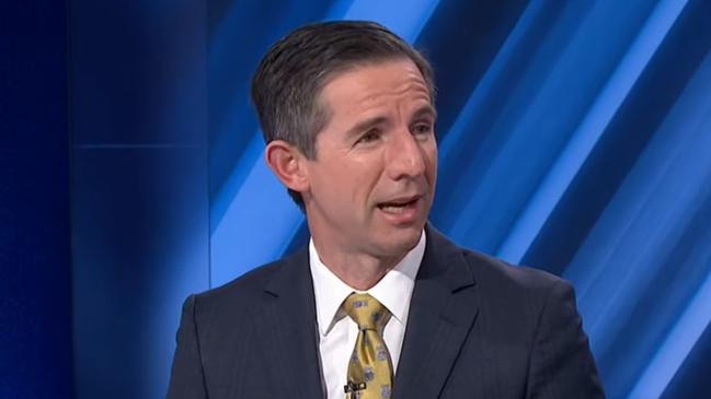 Simon Birmingham has unloaded on the Prime Minister, accusing him of causing a "contagion" through candidate Katherine Deves that turned voters away and cost the party crucial seats.