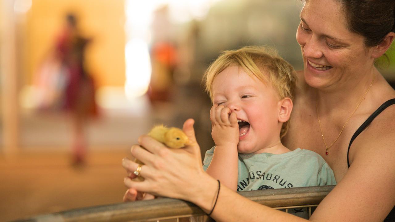 Jack Quinlan, 2, with his mum Lucy delighting in the ducklings at the Darwin Show. . Picture: Glenn Campbell