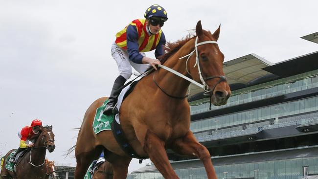 Nature Strip will be Jett Hatton’s captain for Round 3 of SuperCoach Racing. Picture: Getty Images