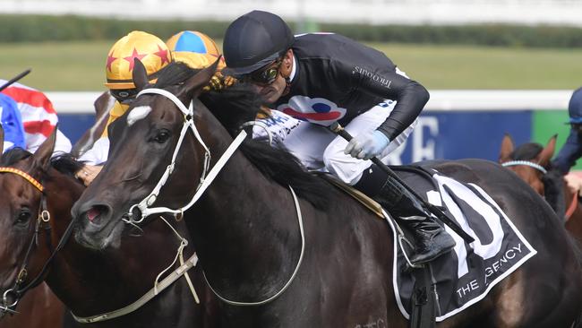 Corey Brown hopes to return to the saddle early next year. Picture: AAP