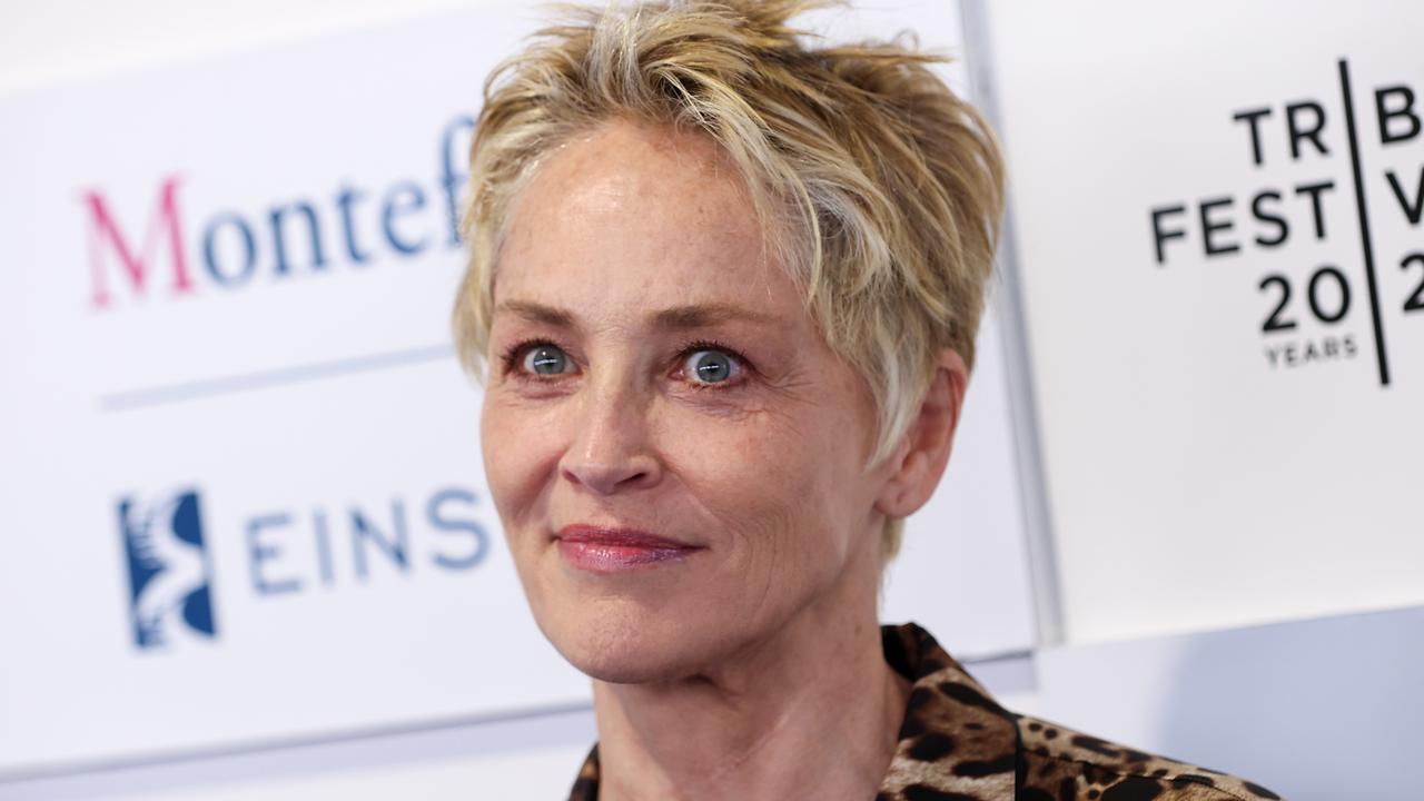 Sharon Stone had a strong reaction when asked what it was like working with Meryl Streep. Picture: Getty