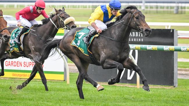 Hiyaam Proud ridden by Billy Egan wins the The Valley Inn Maiden Plate at Geelong Racecourse on April 12, 2024 in Geelong, Australia. (Reg Ryan/Racing Photos via Getty Images)