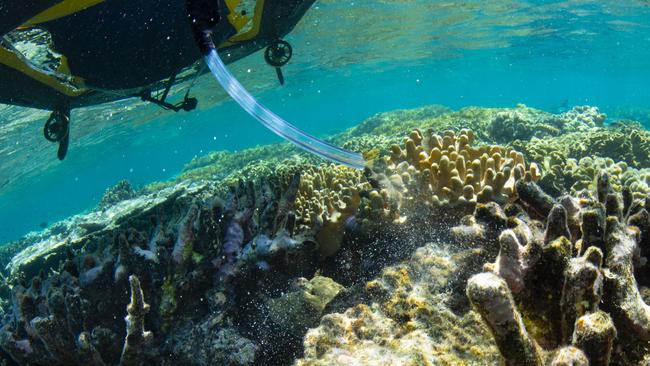 A LarvalBoat delivering coral babies on the damaged reefs