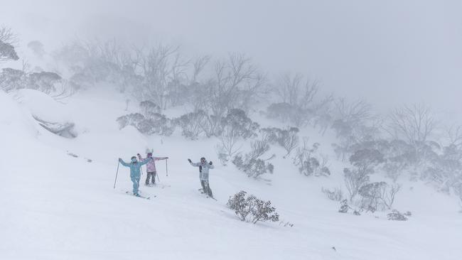 Snow in the outback ‘could conceivably happen again’