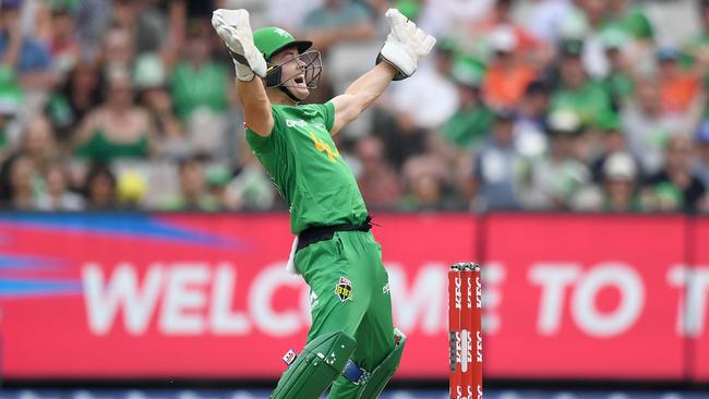 The Stars’ fielding was razor sharp, leaving keeper Seb Gotch with plenty to celebrate. Picture: Getty Images