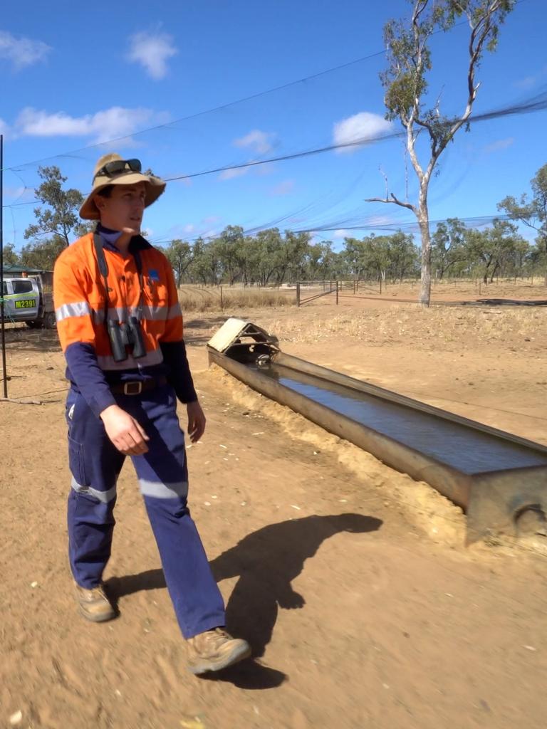 Ecologists have deployed innovative radio tracking technology at Bravus' Carmichael Project to learn more about the southern sub-species of the Black-throated Finch. Picture: Contributed