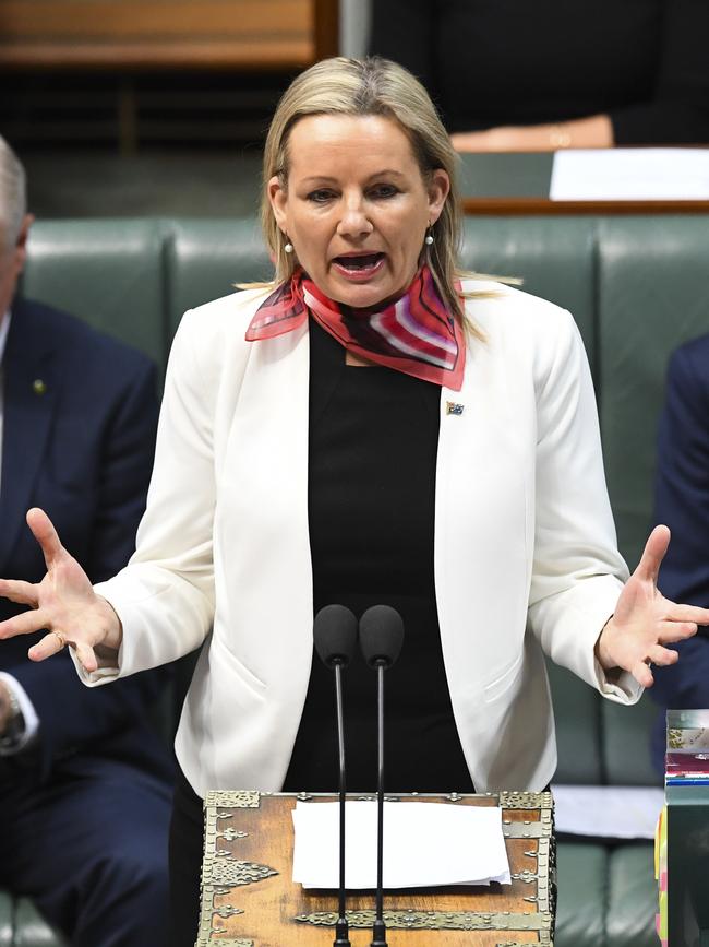 Australian Minister for Environment Sussan Ley speaks during House of Representatives Question Time at Parliament House in Canberra. Picture: AAP/LUKAS COCH