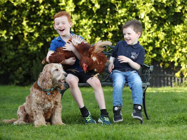 For a story about SAHMRI/UniAdl research on the benefits of green time versus screen time.Lenny,7 and Nash,4, in their backyard having green time on the 2nd September 2020. Pic Tait Schmaal.