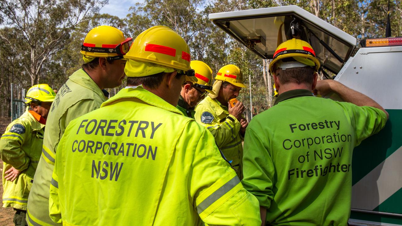 Eurobodalla Council Calls On NSW Government To Consider Logging Ban ...