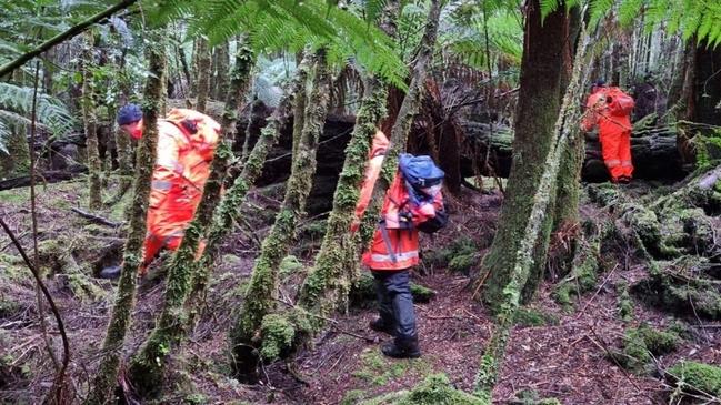 SES crews and police search for Ms Cremer at the Philosopher Falls track area. Picture: Tasmania Police.