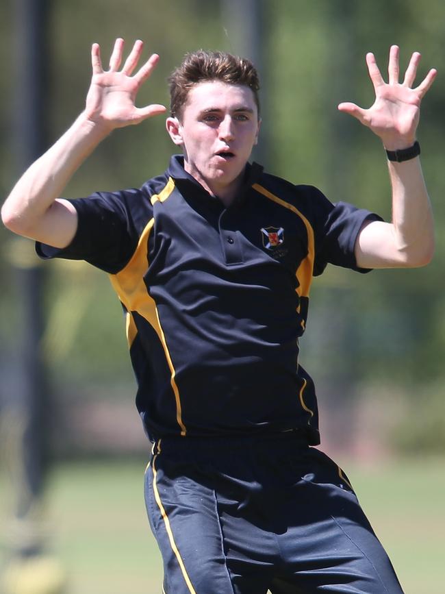 Scotch’s Cormack O'Reilly celebrates a wicket. Picture: Supplied, Scotch College