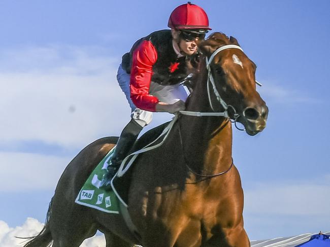 SCONE Favourite OPAL RIDGE wins the Listed SCONE EQUINE HOSPITAL LUSKIN STAR STAKES (1300 METRES), Trained by Luke Pepper & Jockey Dylan Gibbons, MUST CREDIT  Bradley Photographers,   R8 Opal Ridge (2)