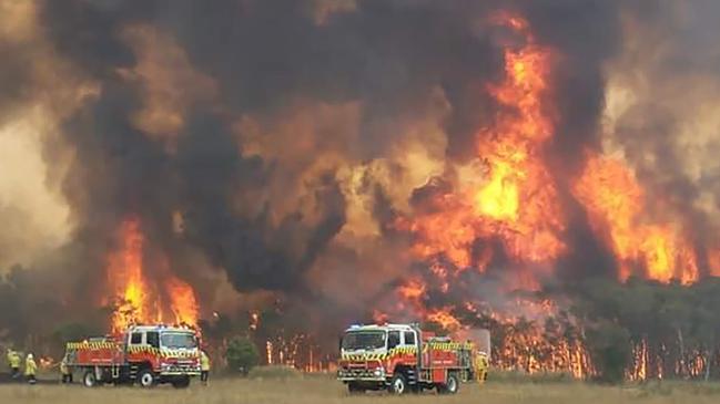 Firefighters are seen as they try to protect homes around Charmhaven. Picture: Twitter@NSWRFS