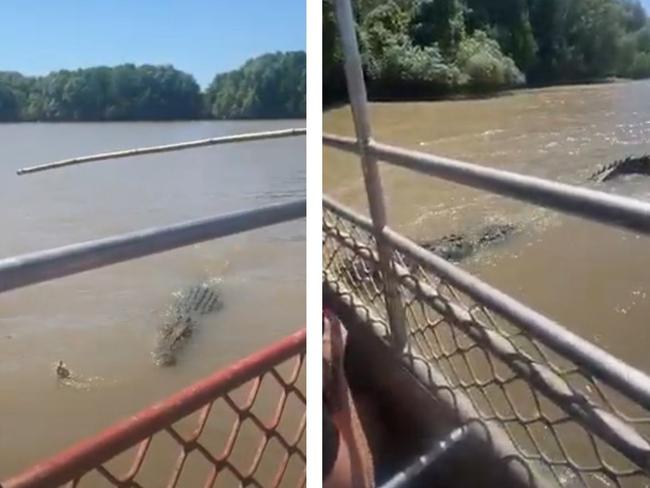 Six-metre monster croc Dominator attacks and eats a smaller croc's leg during Adelaide River Cruise tour.