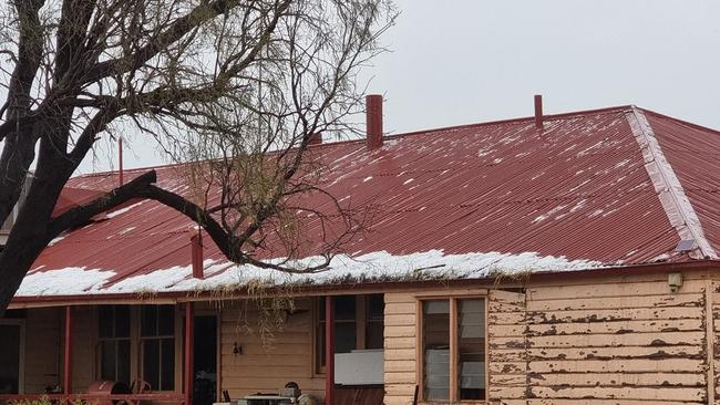 The aftermath of the storm at a Port Augusta garden centre. Picture: Homestead Gardens