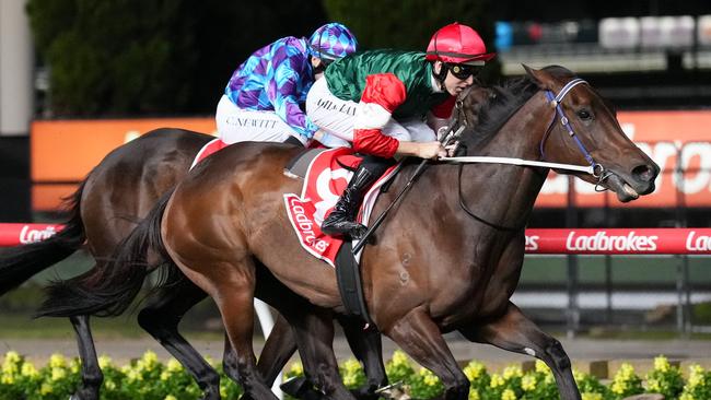 Amelia's Jewel ridden by Damian Lane wins the Ladbrokes Stocks Stakes at Moonee Valley Racecourse on September 29, 2023 in Moonee Ponds, Australia. (Photo by Pat Scala/Racing Photos via Getty Images)