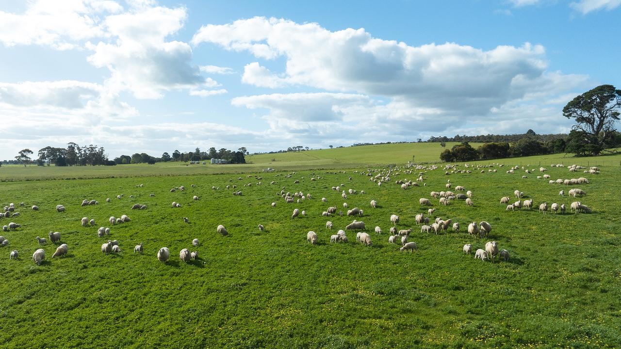 Childerley Park has a long history as a grazing property for sheep and cattle. Picture: Supplied by TDC Livestock &amp; Property