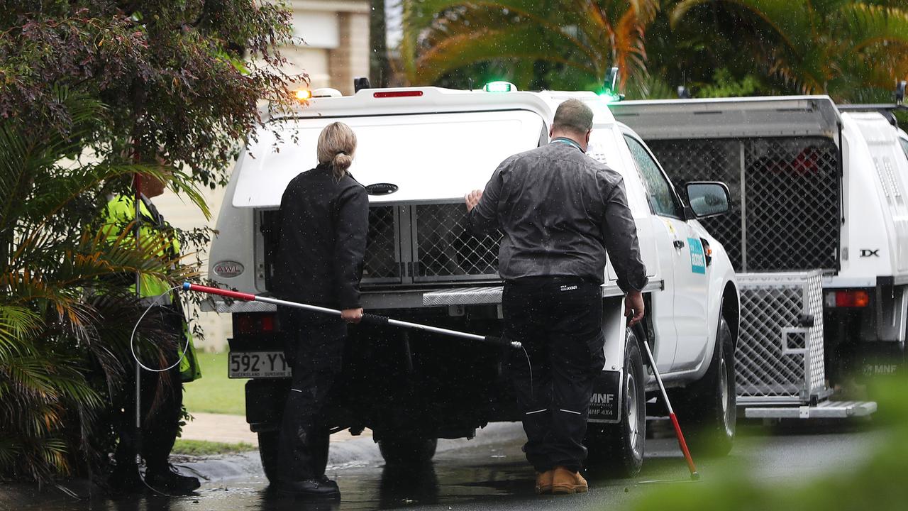 Council animal control officers at the scene of a fatal dog attack at Varsity Lakes on the Gold Coast. Picture: Nigel Hallett