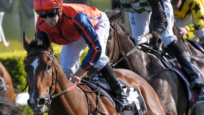 Jockey Jason Collett rides Miss Einstein to victory in race 4, the Vale Professor Hutchins Handicap during the Big Sports Breakfast Grand Final And Racing Day at Royal Randwick Racecourse in Sydney, Wednesday, October 2, 2019.  (AAP Image/Simon Bullard) NO ARCHIVING, EDITORIAL USE ONLY