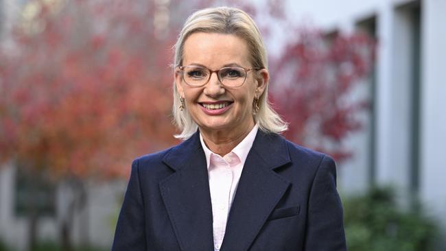 Opposition Leader Sussan Ley. Picture: NewsWire/Martin Ollman