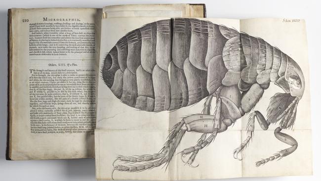 SLNSW Micrographia; or, Some physiological descriptions of minute bodies made by magnifying glasses, 1665 by Robert Hooke.