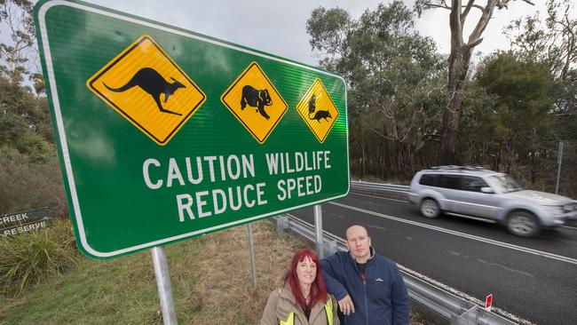 Wildlife carer Helen Round with Macedon Ranges Council environmental programs and engagement officer William Terry by new wildlife warning sign in Ashbourne Rd, Woodend. Picture: Rob Leeson