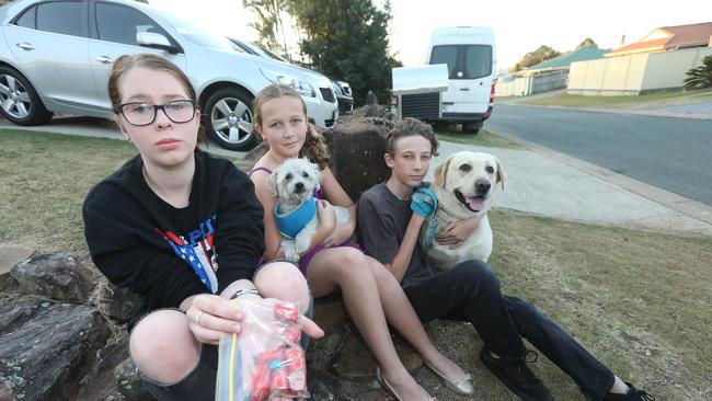 Pictured at their Ormeau home the Brown children Danika, 14, Tayla, 12, and Jordan, 14, and their dogs Oscar and Marley with sausages laced with rat sak. Picture Mike Batterham.