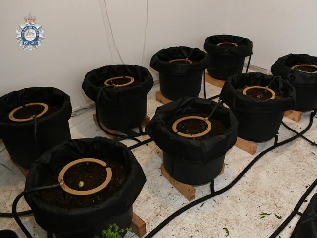 Six people, including a real estate agent, were arrested under an AFP-led investigation into an Albanian organised crime syndicate allegedly operating multiple cannabis grow houses in Melbourne rental properties. Picture: AFP