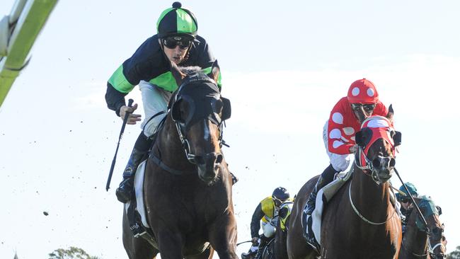 Sesar dashes away to win the Roman Consul Stakes at Randwick. Picture: AAP