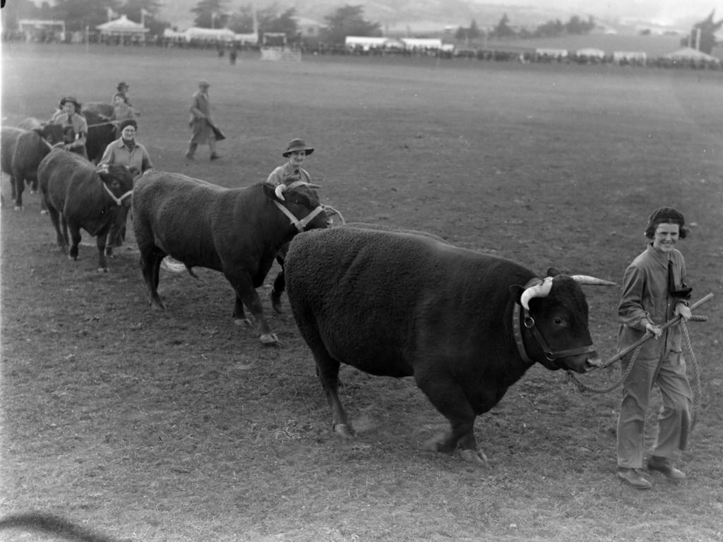 Mercury Archive historical file picture Royal Hobart Show.