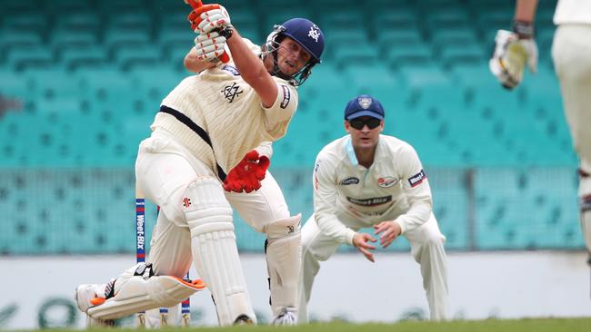 Michael Hill in action for Victoria.