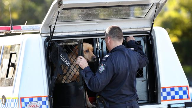 Detection dogs, Police conducting a search at 44 Plucks Road, Arana Hills. Photographer: Liam Kidston.