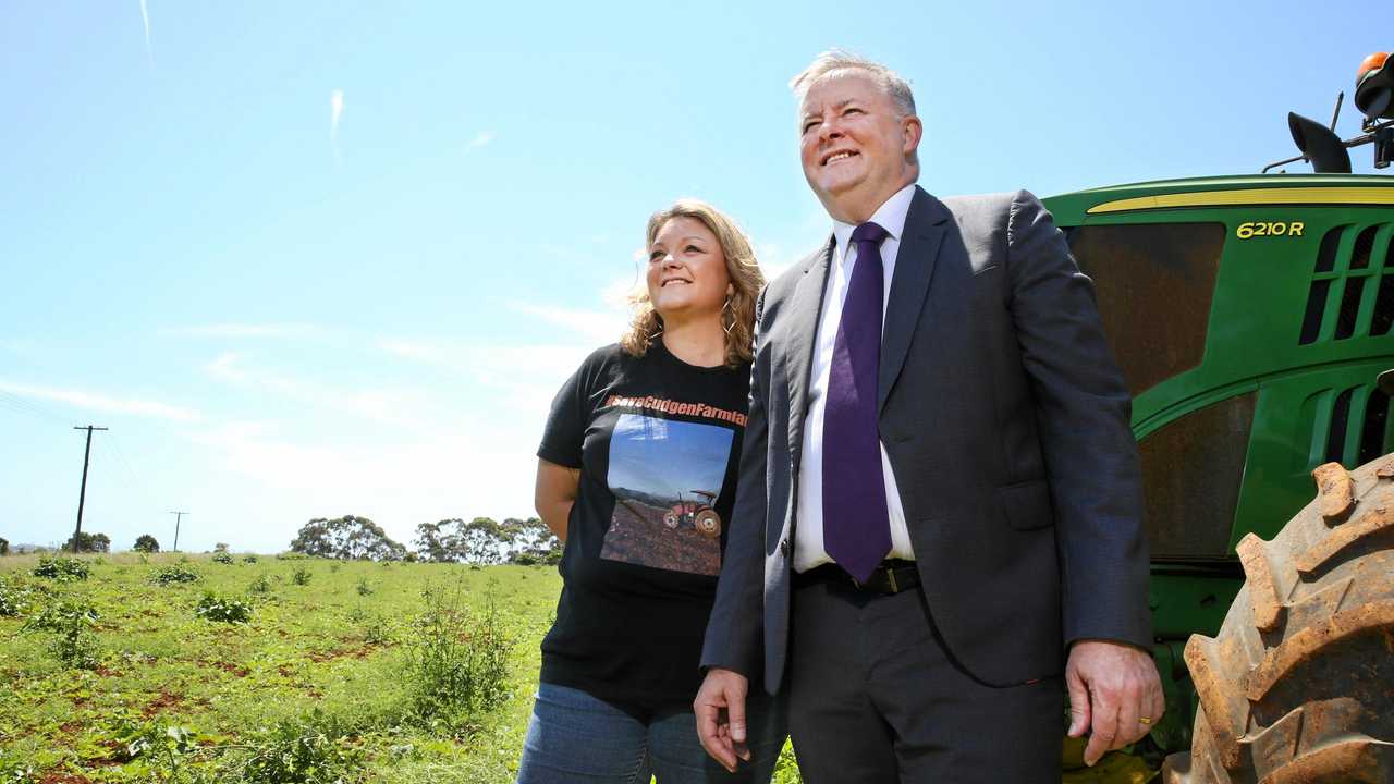 Anthony Albanese and the State Labor Candidate for Tweed, joins Cudgen farmer Hayley Paddon in Cudgen to discuss the Nationals' plan to impose a new hospital on the community at Cudgen. Picture: Scott Powick