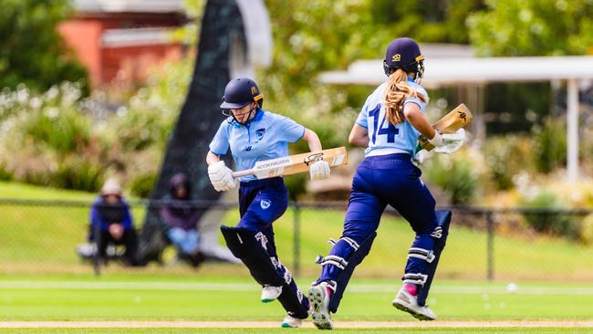 Country put on an excellent last-wicket stand to post a strong total. Picture: Linda Higginson