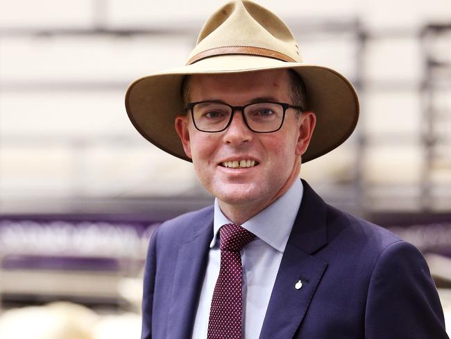 NSW Agriculture Minister Adam Marshall. Picture: Tim Hunter.