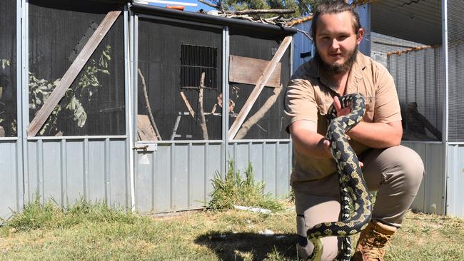 Rockhampton snake catcher Max Neason said it was "gut-wrenching" seeing the python had died.