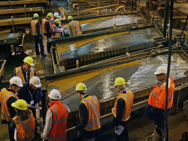 Renison Bell Tin Mine operations to boom, tour of the processing plant