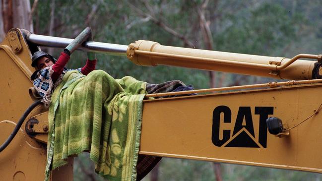 Logging protesters have won their battle to stop native forest harvesting.