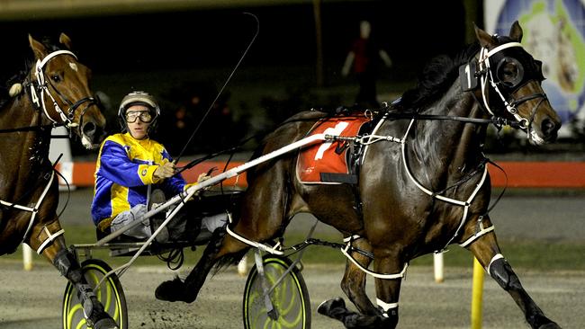 Gloucester Park pacing action from Friday 3rd October 2014. Soho Jackman driven by Gary Hall jr wins the $22,500 Tabtouch Cranley Memorial. PICTURE : BILL CRABB.