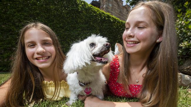 Sisters Claudia 13, and Mia Brown 14, with Buffy the Maltese Terrier. Photo Lachie Millard