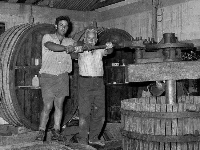 . Ballandean wine maker, Angelo Puglisi working on his grape harvest. 73 pic