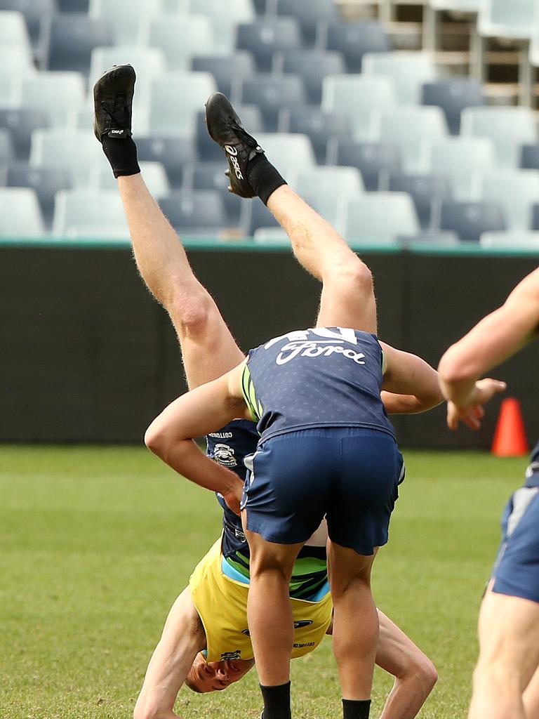 Afl Finals 2019 Geelong Cats V West Coast Cats Brutal Training