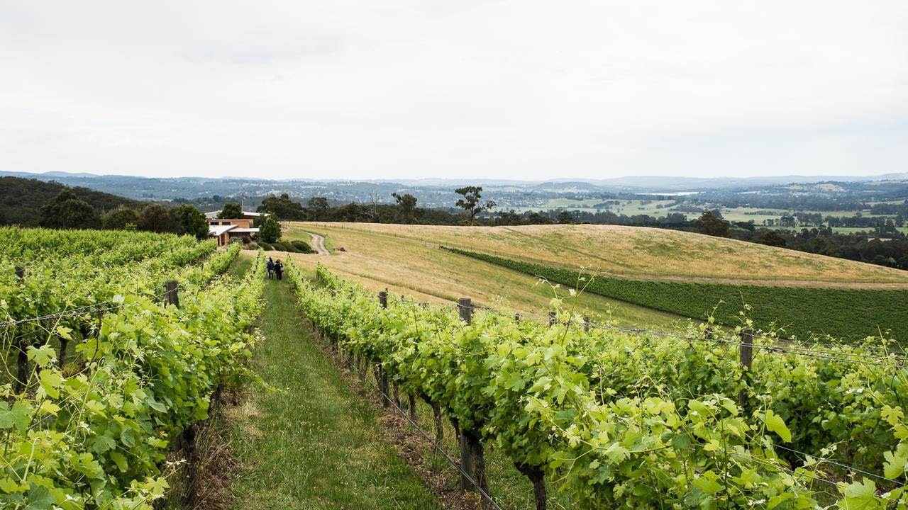 Yarra Valley winemaker: How to make your own wine at No.7 Healesville ...