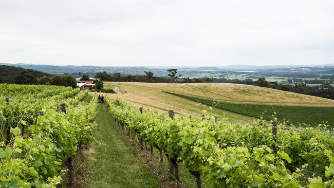 No.7 Healesville will have a new winemaking facility to help up to 20 young winemakers create a wine from scratch. Picture: File.